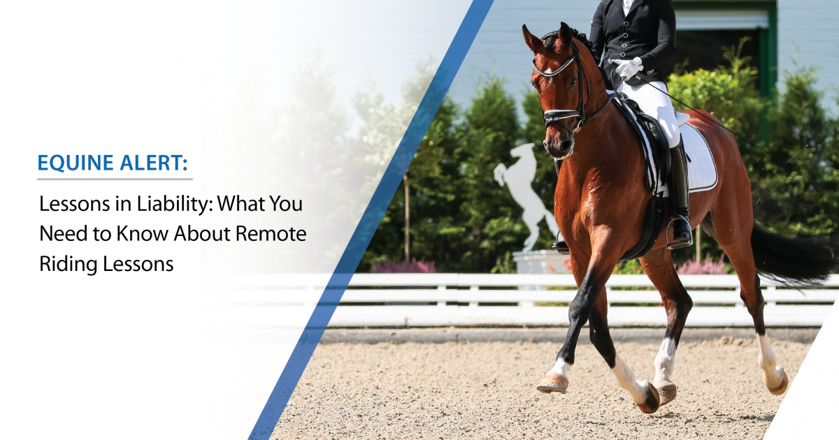 Lessons in Liability: What You Need to Know About Remote Riding Lessons